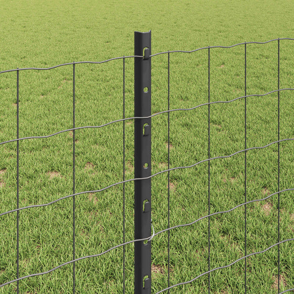 Euroaita with Post 10 x 0,8 m PVC-pinnoitettu teräs Harmaa