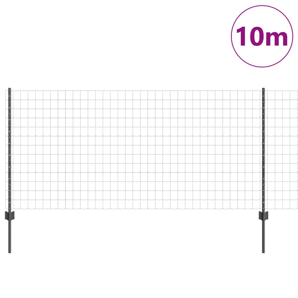 Euroaita with Post 10 x 1 m PVC-pinnoitettu teräs Harmaa Verkko