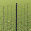 Euroaita with Post 10 x 1,4 m PVC-pinnoitettu teräs Harmaa