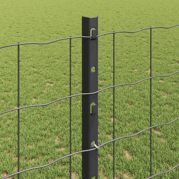 Euroaita with Post 25 x 1,2 m PVC-pinnoitettu teräs Harmaa