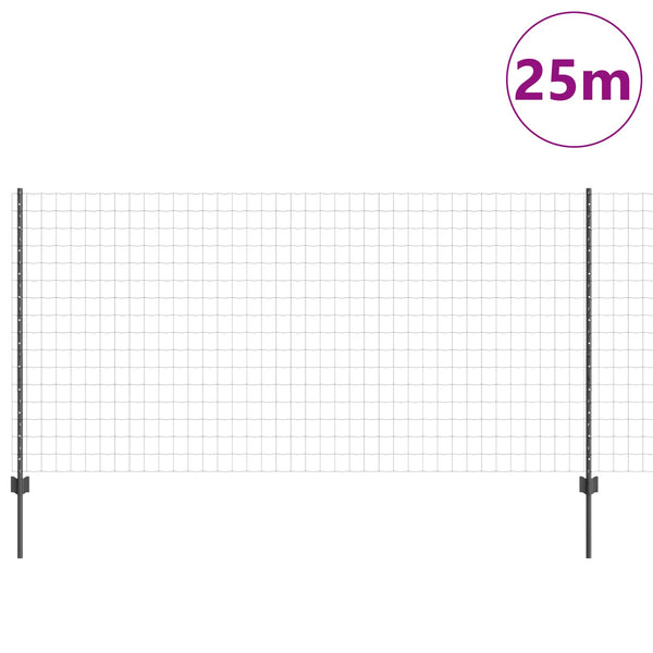 Euroaita with Post 25 x 1,2 m PVC-pinnoitettu teräs Harmaa