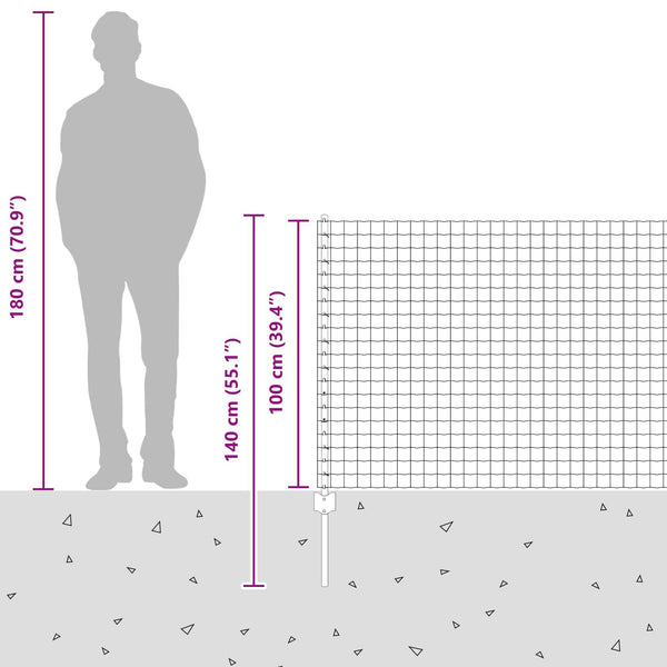Euroaita with Post 10 x 1 m Galvanoitu teräs Hopea Verkko