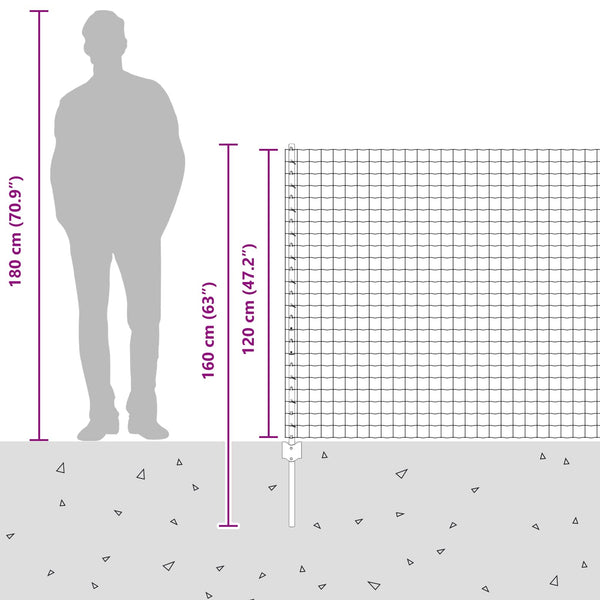 Euroaita with Post 10 x 1,2 m Galvanoitu teräs Hopea Verkko