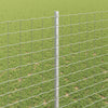 Euroaita with Post 10 x 1,4 m Galvanoitu teräs Hopea Verkko