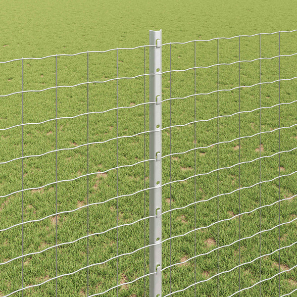 Euroaita with Post 10 x 1,4 m Galvanoitu teräs Hopea Verkko
