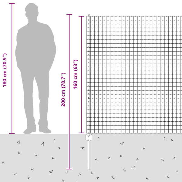 Euroaita with Post 10 x 1,6 m Galvanoitu teräs Hopea Verkko