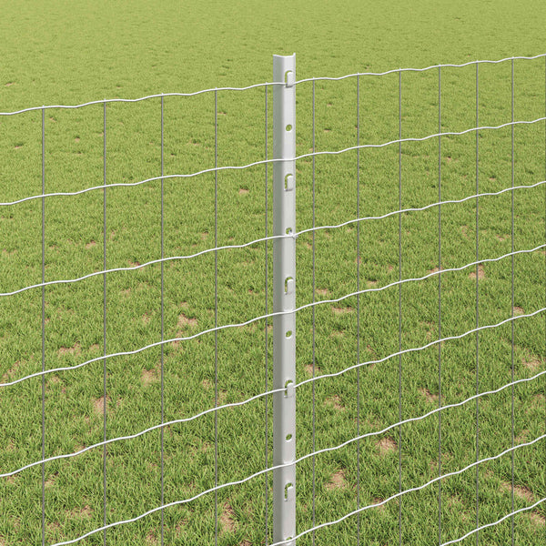 Euroaita with Post 10 x 1,4 m Galvanoitu teräs Hopea Verkko