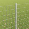 Euroaita with Post 10 x 1,5 m Galvanoitu teräs Hopea Verkko