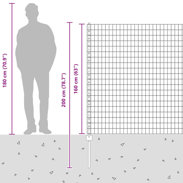 Euroaita with Post 10 x 1,6 m Galvanoitu teräs Hopea Verkko