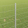 Euroaita with Post 10 x 1 m Galvanoitu teräs Hopea Verkko