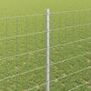 Euroaita with Post 10 x 1,4 m Galvanoitu teräs Hopea Verkko