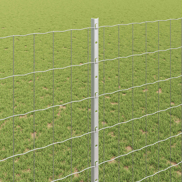 Euroaita with Post 10 x 1,4 m Galvanoitu teräs Hopea Verkko