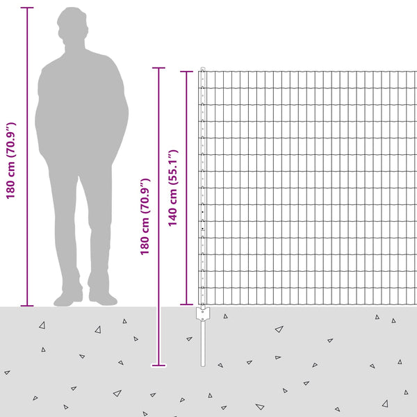 Euroaita with Post 10 x 1,4 m Galvanoitu teräs Hopea Verkko