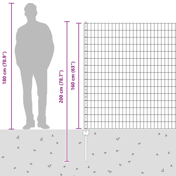 Euroaita with Post 10 x 1,6 m Galvanoitu teräs Hopea Verkko