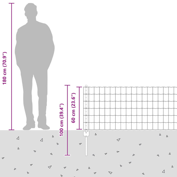 Euroaita with Post 10 x 0,6 m Galvanoitu teräs Hopea Verkko