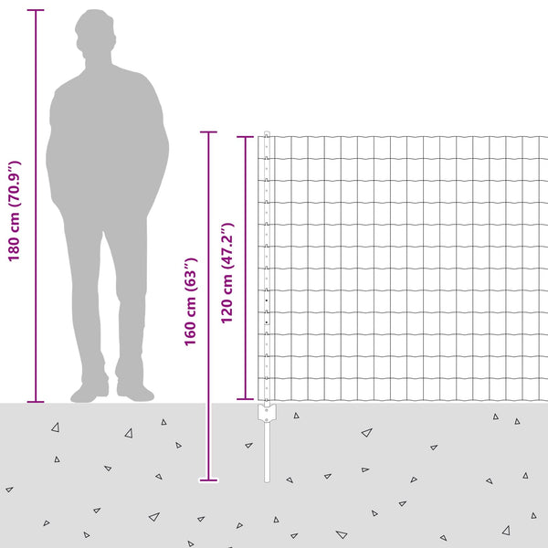 Euroaita with Post 10 x 1,2 m Galvanoitu teräs Hopea Verkko