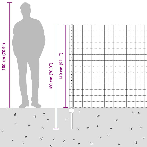 Euroaita with Post 10 x 1,4 m Galvanoitu teräs Hopea Verkko