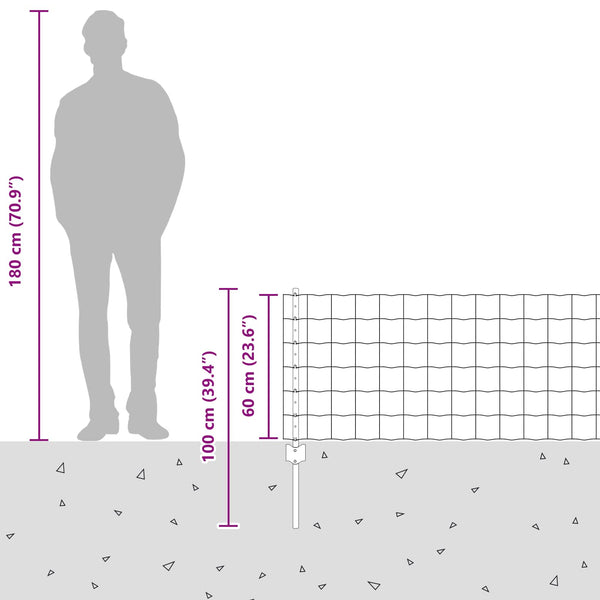 Euroaita with Post 10 x 0,6 m Galvanoitu teräs Hopea Verkko