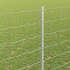Euroaita with Post 10 x 1,4 m Galvanoitu teräs Hopea Verkko