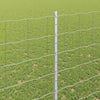 Euroaita with Post 10 x 1,6 m Galvanoitu teräs Hopea Verkko