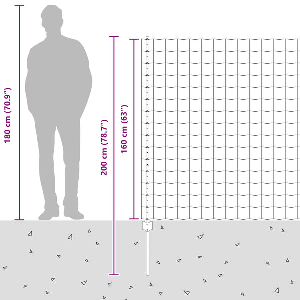 Euroaita with Post 10 x 1,6 m Galvanoitu teräs Hopea Verkko