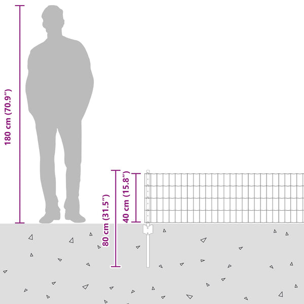 Euroaita with Post 25 x 0,4 m Galvanoitu teräs Hopea Verkko