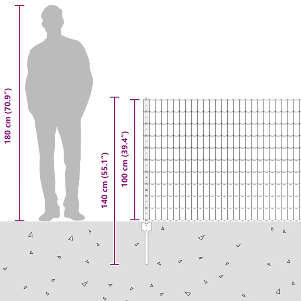 Euroaita with Post 25 x 1 m Galvanoitu teräs Hopea Verkko