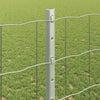 Euroaita with Post 25 x 1,2 m Galvanoitu teräs Hopea Verkko