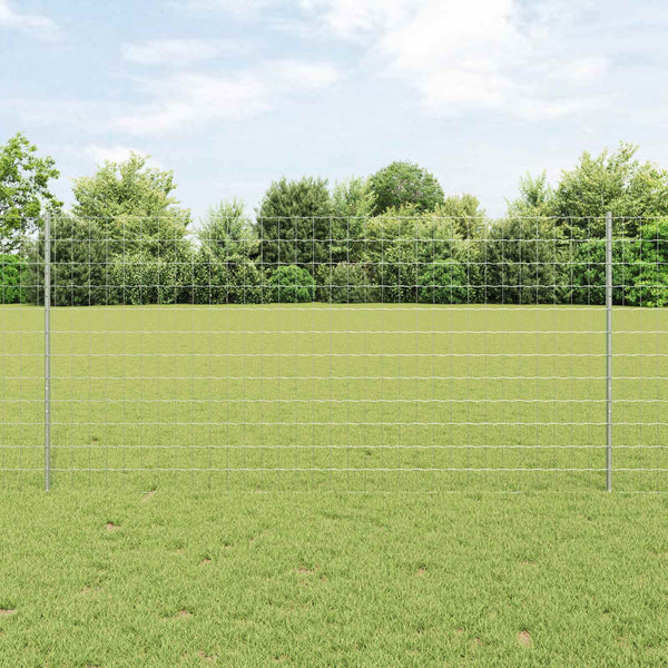 Euroaita with Post 25 x 1,2 m Galvanoitu teräs Hopea Verkko