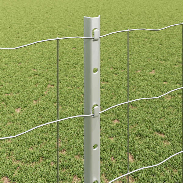 Euroaita with Post 25 x 1,2 m Galvanoitu teräs Hopea Verkko