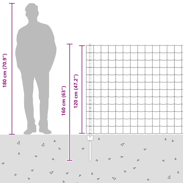 Euroaita with Post 25 x 1,2 m Galvanoitu teräs Hopea Verkko