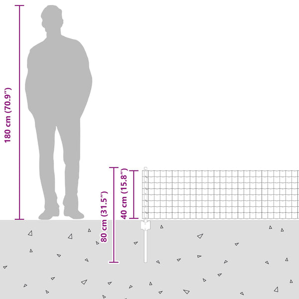 Euroaita with Post 50 x 0,4 m Galvanoitu teräs Hopea Verkko