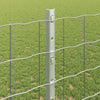 Euroaita with Post 10 x 1,2 m Galvanoitu teräs Hopea Verkko