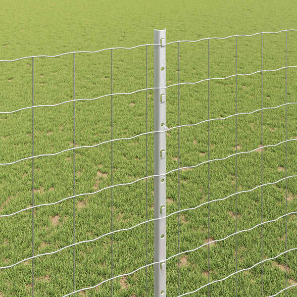 Euroaita with Post 10 x 1,4 m Galvanoitu teräs Hopea Verkko