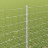 Euroaita with Post 10 x 1,6 m Galvanoitu teräs Hopea Verkko