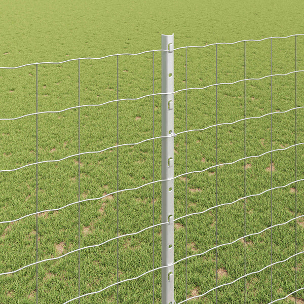 Euroaita with Post 10 x 1,6 m Galvanoitu teräs Hopea Verkko