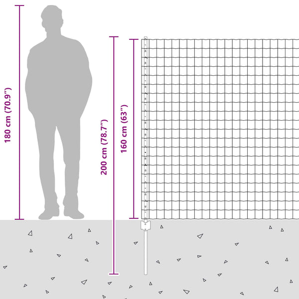 Euroaita with Post 10 x 1,6 m Galvanoitu teräs Hopea Verkko