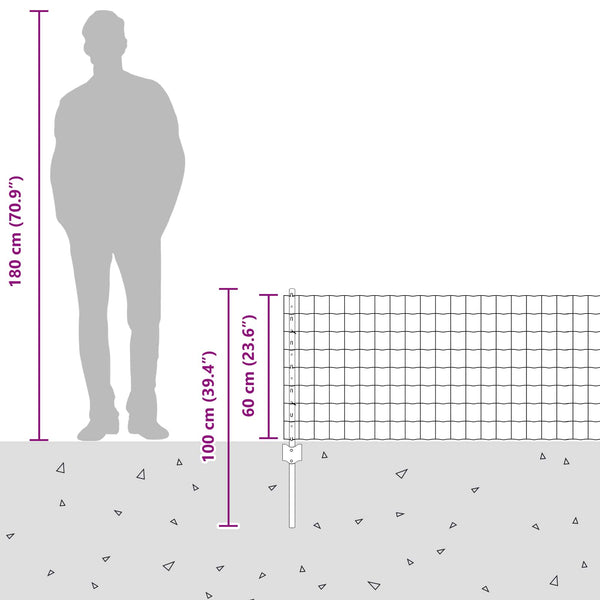 Euroaita with Post 25 x 0,6 m Galvanoitu teräs Hopea Verkko