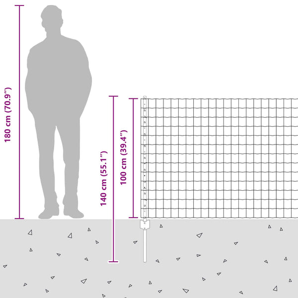 Euroaita with Post 25 x 1 m Galvanoitu teräs Hopea Verkko