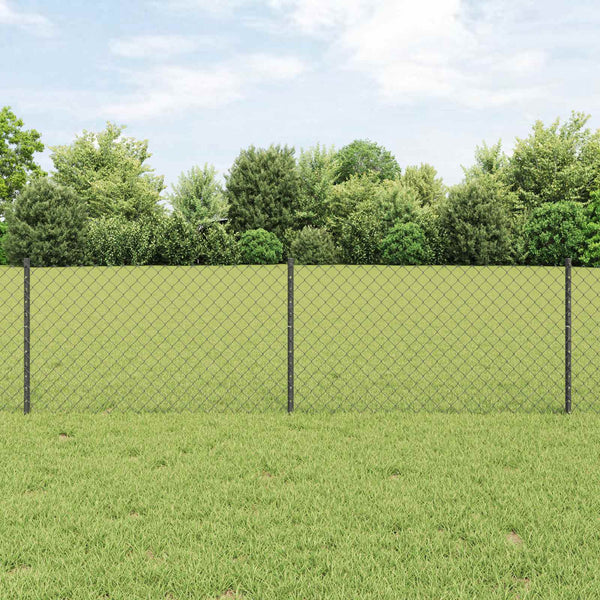 Ketjuaidalla varustettu aita 10 x 0,6 m PVC-pinnoitettu teräs
