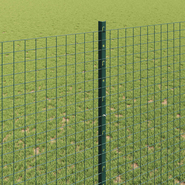 Käytävä suljettu langoitettu aitarakenne 10 x 1,6 m Vihreä