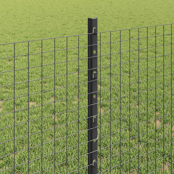 Käytävä suljettu langoitettu aitarakenne 10 x 0,8 m Harmaa