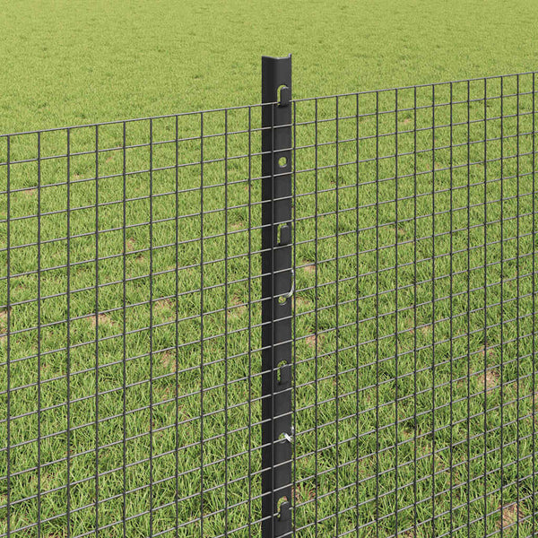 Käytävä suljettu langoitettu aitarakenne 25 x 0,8 m Harmaa