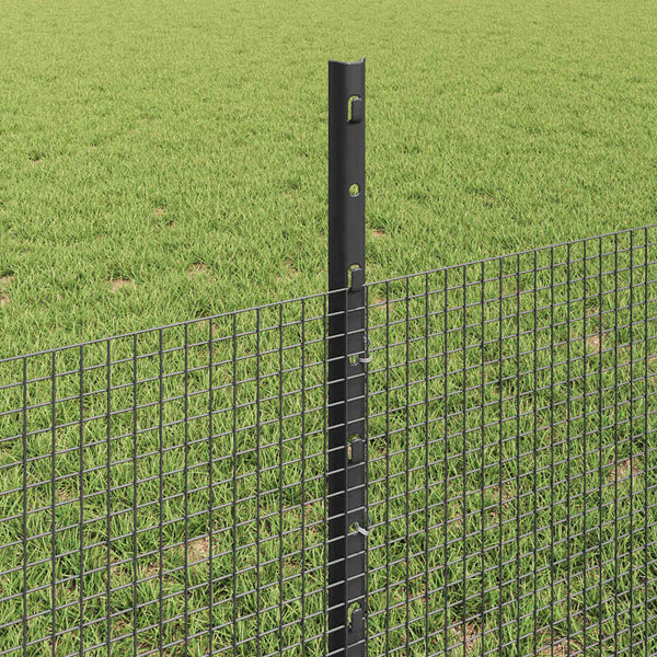 Käytävä suljettu langoitettu aitarakenne 100 x 0,5 m Harmaa