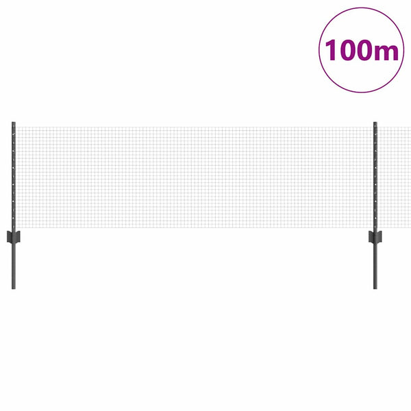Käytävä suljettu langoitettu aitarakenne 100 x 0,6 m Harmaa