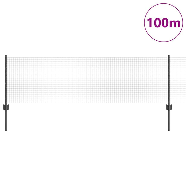 Käytävä suljettu langoitettu aitarakenne 100 x 0,6 m Harmaa