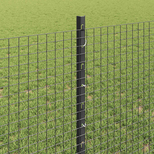 Käytävä suljettu langoitettu aitarakenne 100 x 0,8 m Harmaa