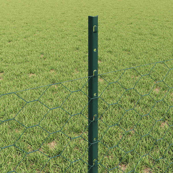 Kuusikulmainen aita pylväällä 10 x 0,5 m PVC-pinnoitettu teräs