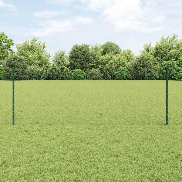 Kuusikulmainen aita pylväällä 10 x 0,8 m PVC-pinnoitettu teräs