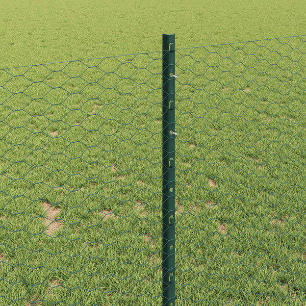 Kuusikulmainen aita pylväällä 25 x 1 m PVC-pinnoitettu teräs